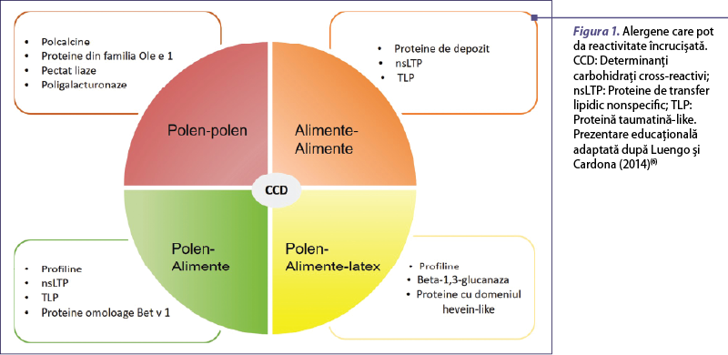 Figura 1. Alergene care pot da reactivitate încrucişată. CCD: Determinanţi carbohidraţi cross-reactivi; nsLTP: Proteine de transfer lipidic nonspecific; TLP: Proteină taumatină-like. Prezentare educaţională adaptată după Luengo şi Cardona (2014)(6)
