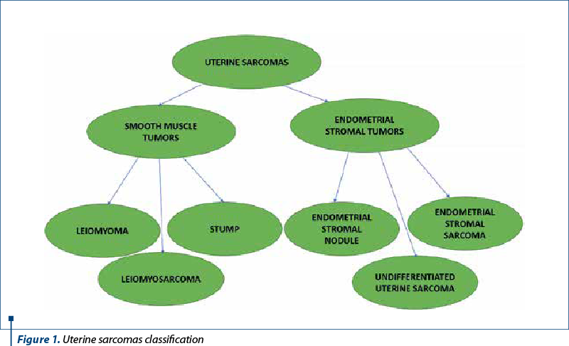 Figure 1. Uterine sarcomas classification