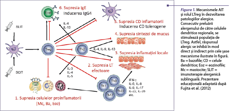 Figura 1. Mecanismele AIT şi rolul LTreg în dezvoltarea patologiilor alergice. Consecutiv preluării alergenului de către celulele dendritice regionale, se stimulează populaţia de LTreg. Astfel, răspunsul alergic se inhibă în mod direct şi indirect prin cele şase mecanisme ilustrate în figură. Ba = bazofile; CD = celule dendritice; Eoz = eozinofile; Mc = mastocite; SLIT = imunoterapie alergenică sublinguală. Prezentare educaţională adaptată după Fujita et al. (2012)