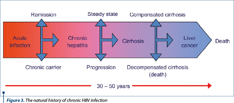 Figure 3. The natural history of chronic HBV infection