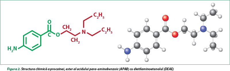 Figura 2. Structura chimică a procainei, ester al acidului para-aminobenzoic (APAB) cu dietilaminoet