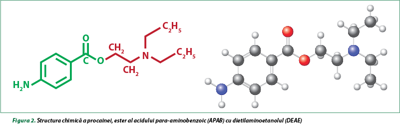 Figura 2. Structura chimică a procainei, ester al acidului para-aminobenzoic (APAB) cu dietilaminoet