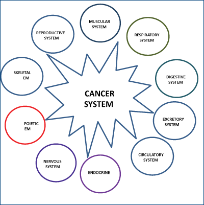 Figure 1. The cancer system