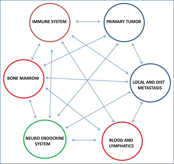Figure 2. Some of the interactions of the cancer system networks