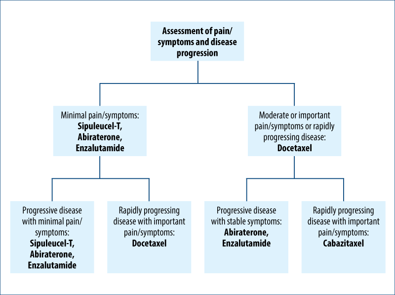 Figure 1. Suggested management plan for CRPC patients (adapted from Bethesda Handbook, 2014)