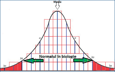 Figura 1. Normalul în biologie