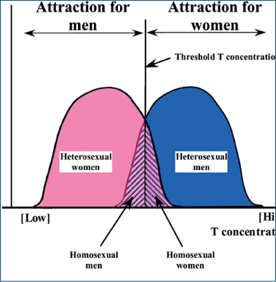 Figura 22. Cauza hormonală pentru homosexualii bărbaţi şi femei ar depinde de un nivel de prag pentr