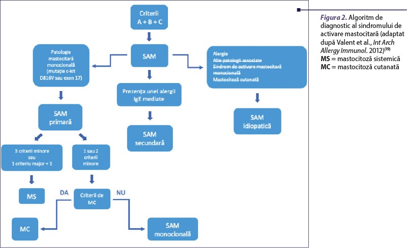 Figura 2. Algoritm de diagnostic al sindromului de activare mastocitară (adaptat după Valent et al., Int Arch Allergy Immunol. 2012)(19) MS = mastocitoză sistemică MC = mastocitoză cutanată