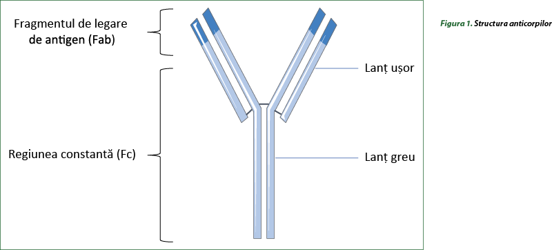 Figura 1. Structura anticorpilor