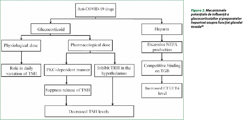 Figura 2. Mecanismele potenţiale de influenţă a glucocorticoizilor şi preparatelor heparinei asupra funcţiei glandei tiroide(5)