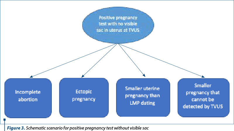 Figure 3. Schematic scenario for positive pregnancy test without visible sac