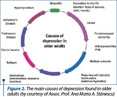 Figure 2. The main causes of depression found in older adults (by courtesy of Assoc. Prof. Ana Maria A. Stănescu)