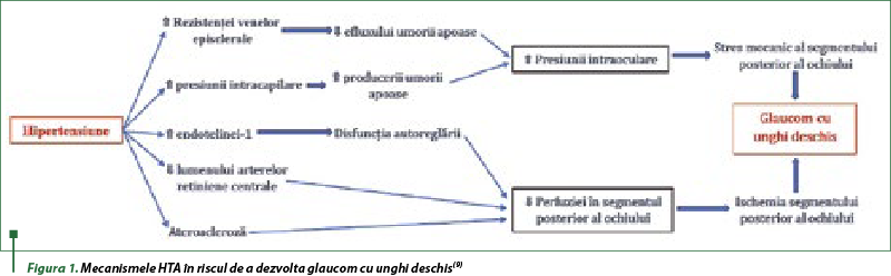 Figura 1. Mecanismele HTA în riscul de a dezvolta glaucom cu unghi deschis(9) 