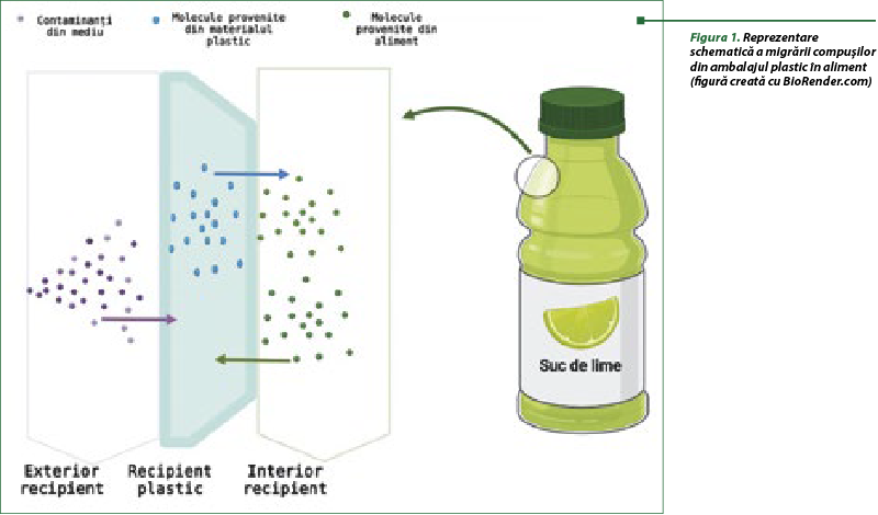 Figura 1. Reprezentare schematică a migrării compuşilor din ambalajul plastic în aliment (figură creată cu BioRender.com)