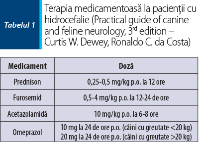 Terapia medicamentoasă la pacienţii cu hidrocefalie (Practical guide of canine and feline neurology, 3rd edition – Curtis W. Dewey, Ronaldo C. da Costa)
