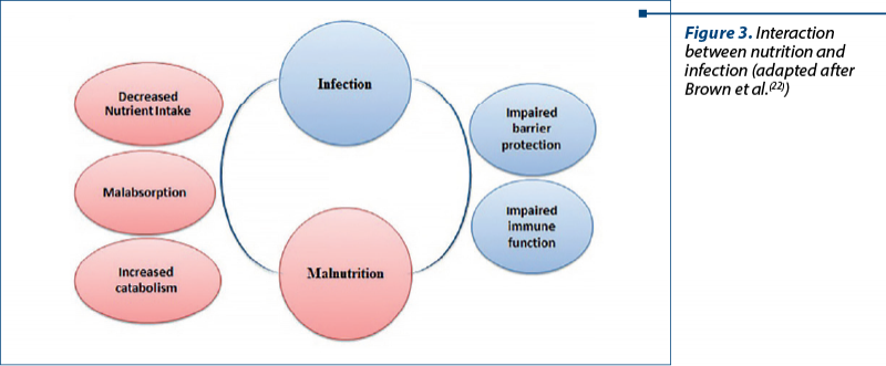 Figure 3. Interaction between nutrition and infection (adapted after Brown et al.(22)) 