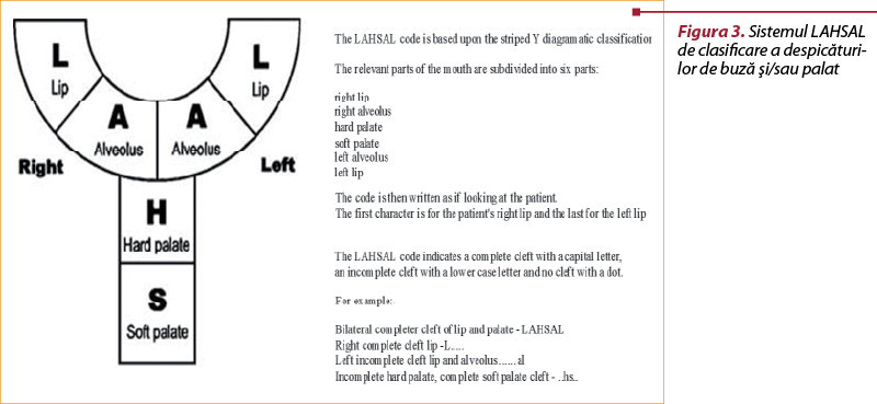 Figura 3. Sistemul LAHSAL de clasificare a despi­cătu­ri­lor de buză şi/sau palat