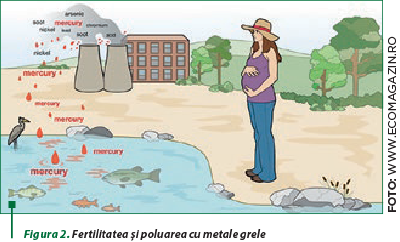 Figura 2. Fertilitatea şi poluarea cu metale grele