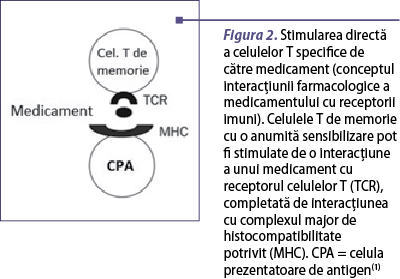 Figura 2. Stimularea directă a celulelor T specifice de către medicament (conceptul interacţiunii farmacologice a medicamentului cu receptorii imuni). Celulele T de memorie cu o anumită sensibilizare pot fi stimulate de o interacţiune a unui medicament cu receptorul celulelor T (TCR), completată de interacţiunea cu complexul major de histocompatibilitate potrivit (MHC). CPA = celula prezentatoare de antigen(1)