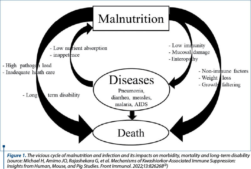 Figure 1. The vicious cycle of malnutrition and infection and its impacts on morbidity, mortality and long-term disability (source: Michael H, Amimo JO, Rajashekara G, et al. Mechanisms of Kwashiorkor-Associated Immune Suppression: Insights from Human, Mouse, and Pig Studies. Front Immunol. 2022;13:826268(2))