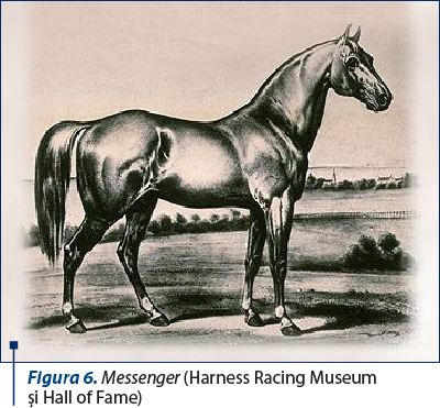 Figura 6. Messenger (Harness Racing Museum  şi Hall of Fame)