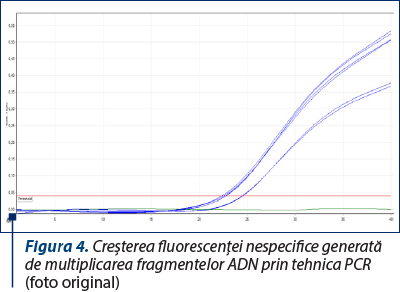Figura 4. Creşterea fluorescenţei nespecifice generată de multiplicarea fragmentelor ADN prin tehnica PCR (foto original)