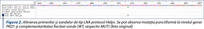 Figura 2. Alinierea primerilor şi sondelor de tip LNA protocol Helps. Se pot observa mutaţia punctiformă la nivelul genei PKD1 şi complementaritatea fiecărei sonde (WT, respectiv MUT) (foto original)
