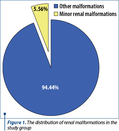Figure 1. The distribution of renal malformations in the study group