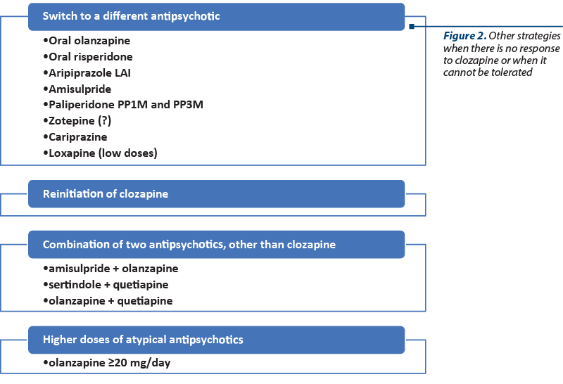 Figure 2. Other strategies when there is no response to clozapine or when it cannot be tolerated