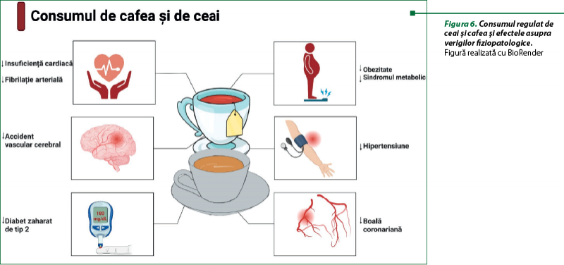Figura 6. Consumul regulat de ceai şi cafea şi efectele asupra verigilor fiziopatologice.  Figură realizată cu BioRender
