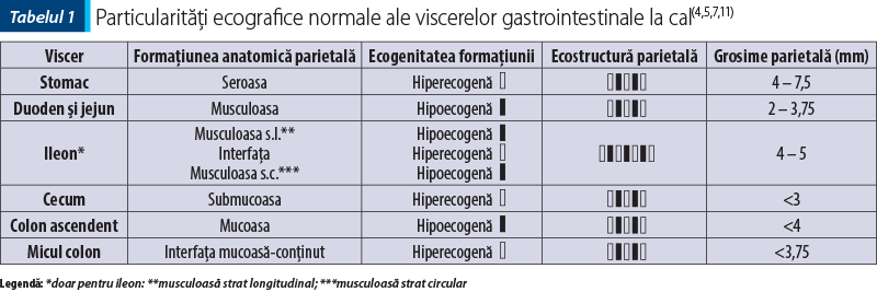 Tabelul 1 Particularităţi ecografice normale ale viscerelor gastrointestinale la cal(4,5,7,11)