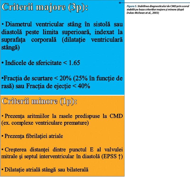 Figura 5. Stabilirea diagnosticului de CMD prin scorul stabilit pe baza criteriilor majore şi minore