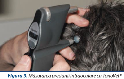 Figura 3. Măsurarea presiunii intraoculare cu TonoVet®