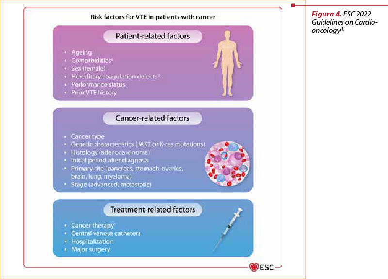 Figura 4. ESC 2022 Guidelines on Cardio-oncology(1)