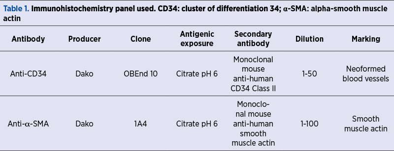Table 1. Immunohistochemistry panel used. CD34: cluster of differentiation 34; α-SMA: alpha-smooth muscle actin