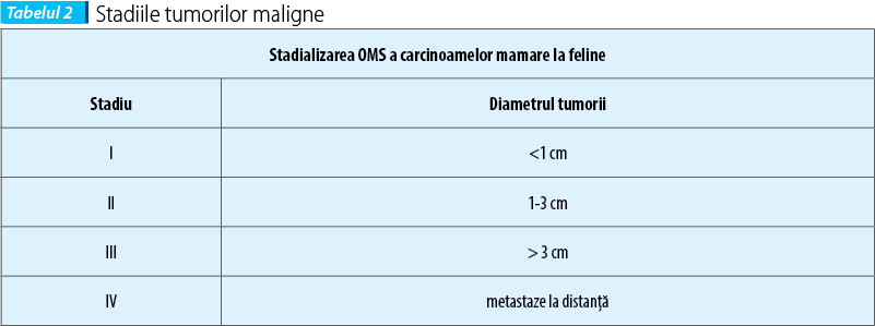Tabelul 2. Stadiile tumorilor maligne 