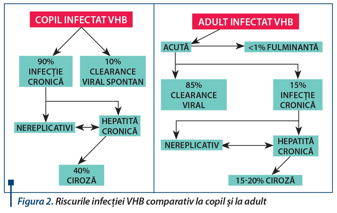 Figura 2. Riscurile infecției VHB comparativ la copil și la adult