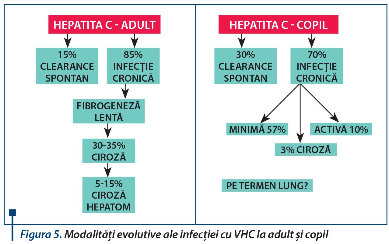 Figura 5. Modalități evolutive ale infecției cu VHC la adult și copil