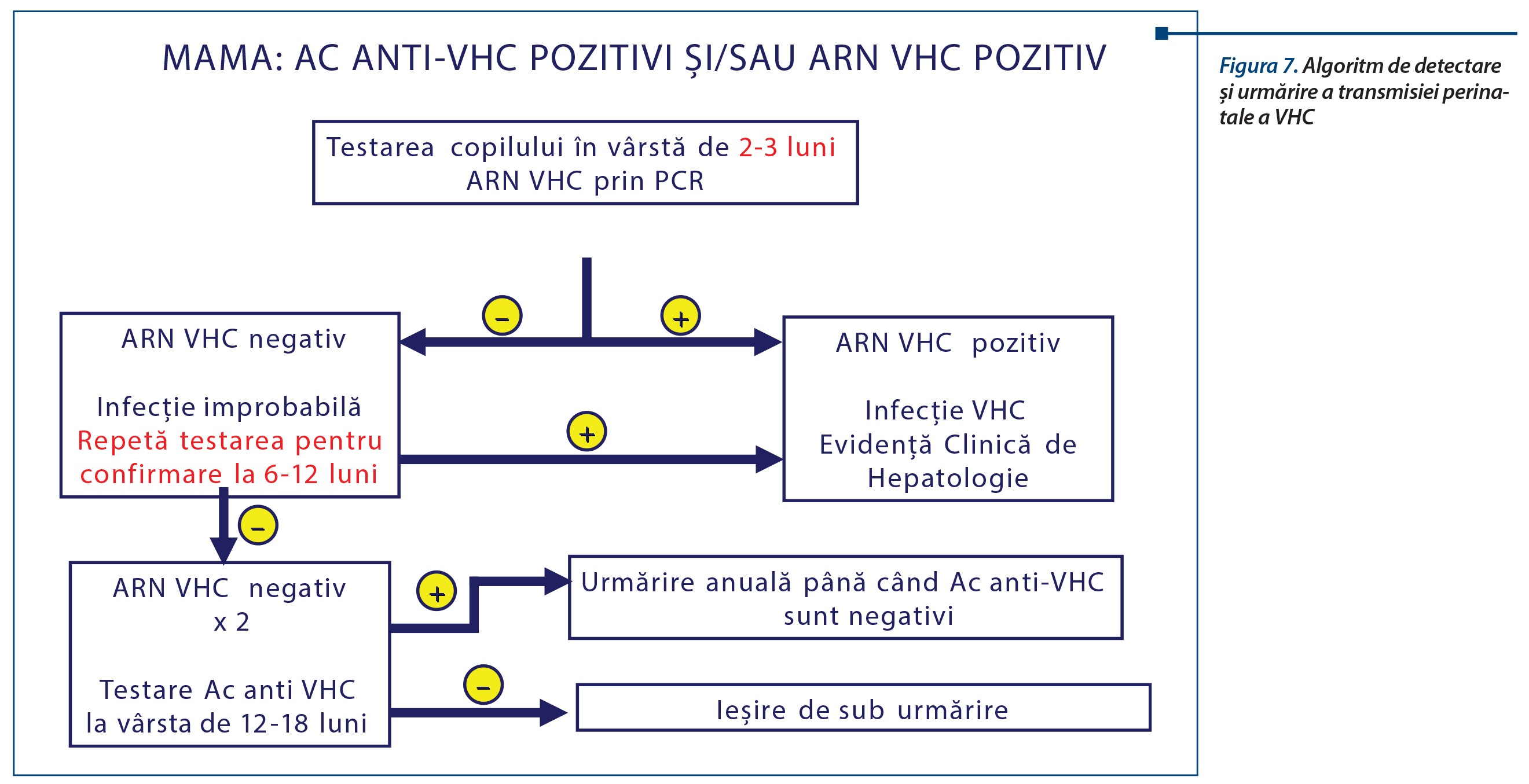 Figura 7. Algoritm de detectare și urmărire a transmisiei perinatale a VHC
