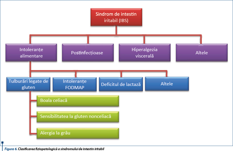 Figura 6. Clasificarea fiziopatologică a sindromului de intestin iritabil 