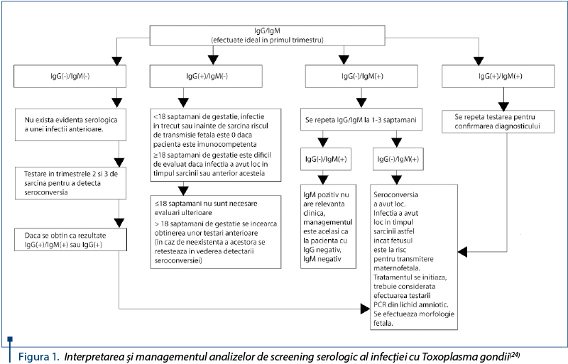 Figura 1. Interpretarea şi managementul analizelor de screening serologic al infecţiei cu Toxoplasma