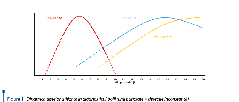 Figura 1. Dinamica testelor utilizate în diagnosticul bolii (linii punctate = detecţie inconstantă)