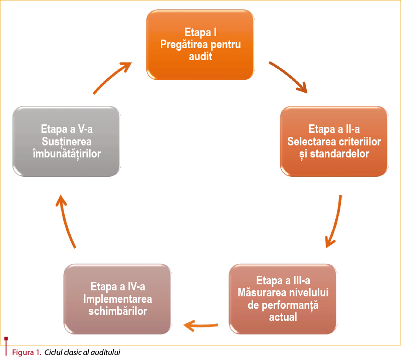 Figura 1. Ciclul clasic al auditului