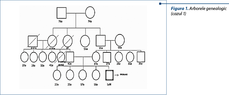 Figura 1. Arborele genealogic (cazul 1)