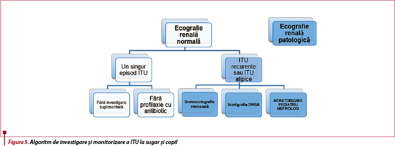 Figura 5. Algoritm de investigare și monitorizare a ITU la sugar și copil