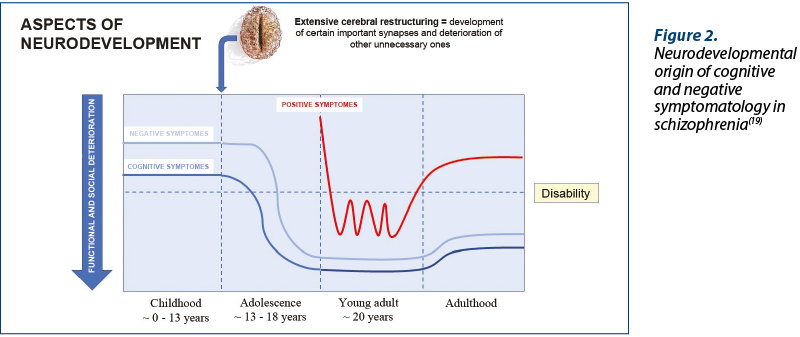 Figure 2. Neurodevelopmental origin of cognitive and negative symptomatology in schizophrenia(19)