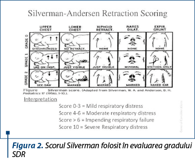 Figura 2. Scorul Silverman folosit în evaluarea gradului SDR