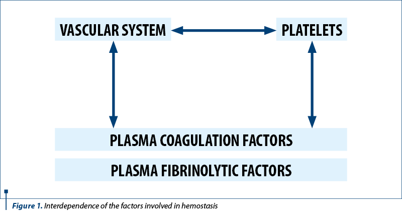 Figure 1. Interdependence of the factors involved in hemostasis