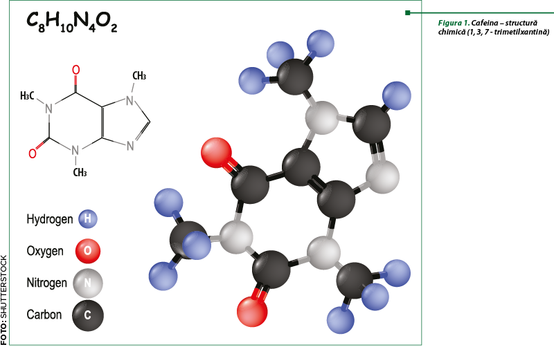 Figura 1. Cafeina – structură chimică (1, 3, 7 - trimetilxantină)