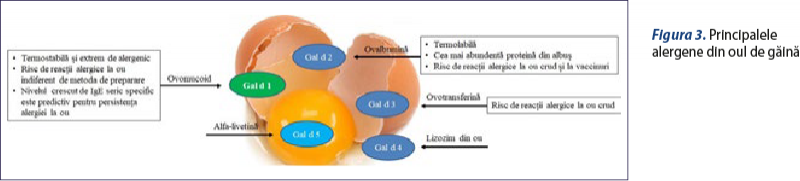Figura 3. Principalele alergene din oul de găină